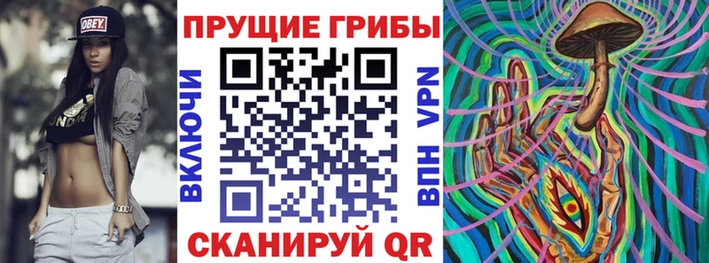 Купить закладки  Кирс  Псилоцибиновые грибы Psilocybe 